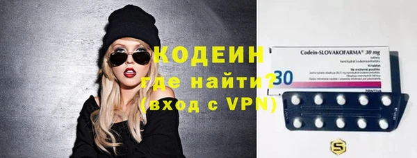 индика Ладушкин