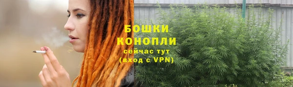 индика Ладушкин