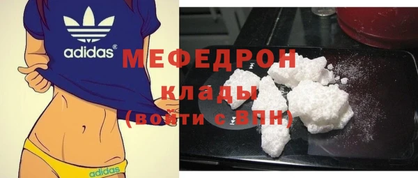 индика Ладушкин