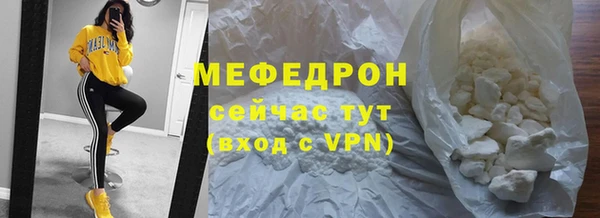 индика Ладушкин