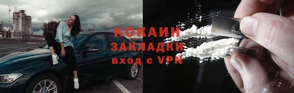 индика Ладушкин