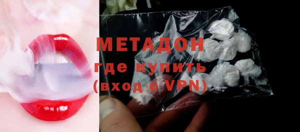 индика Ладушкин