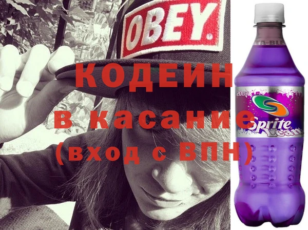 индика Ладушкин