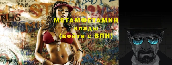 индика Ладушкин