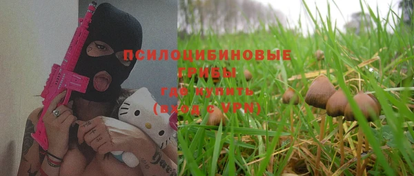 индика Ладушкин