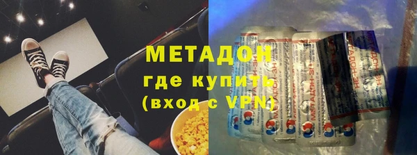 индика Ладушкин