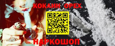 дживик Кандалакша