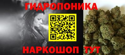 стаф Камышлов
