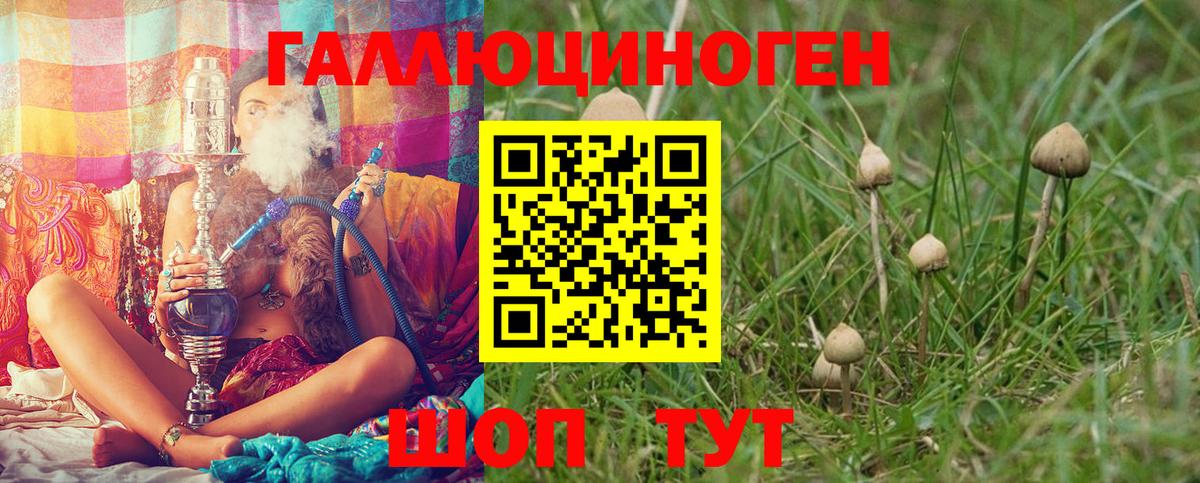 Галлюциногенные грибы прущие грибы  Галлюциногенные грибы прущие грибы  Вход с VPN  закладка  Узловая 